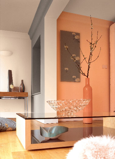 Une idée d’association  couleurs gaies et fraîche avec une peinture salon dans la gamme des teintes naturelles de orange et pêche, subtilement ponctuées de peinture grise sur un pan de murs.