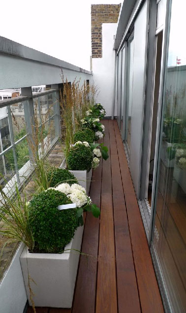 La déco de ce balcon design et pour le moins étroit tient sa réussite dans l’association du sol bois et de l’unité des végétaux  plantés dans des jardinières blanches. 