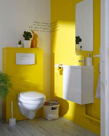 Quelle Peinture Wc Choisir Sans Faire Derreur Deco Cool