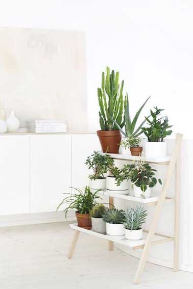 Des plantes en pot posées sur une étagères escabeau, une idée déco à retenir pour apporter de la couleur dans une cuisine blanche sans encombrer le plan de travail.