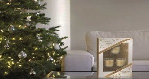 Coussins, bougies parfumées, vases design, découvrez le shopping Noël déco maison de la rédac de Déco Cool pour vous inspirer des idées de cadeaux