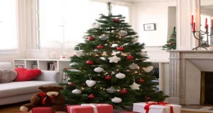 C'est la bonne nouvelle du jour, le sapin de Noël NORDMAN peut être acheté en ligne dès maintenant et retiré dans les magasins Ikea à partir du 28 novembre