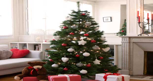 C'est la bonne nouvelle du jour, le sapin de Noël NORDMAN peut être acheté en ligne dès maintenant et retiré dans les magasins Ikea à partir du 28 novembre
