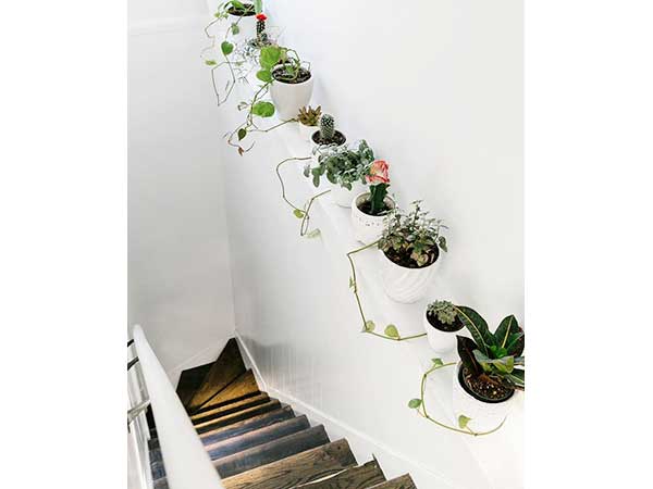 Mettre des plantes le long d’une plinthe dans l’escalier blanc pour lui donner des couleurs. Une idée déco d’escalier pas cher à faire avec des pots en céramique blancs