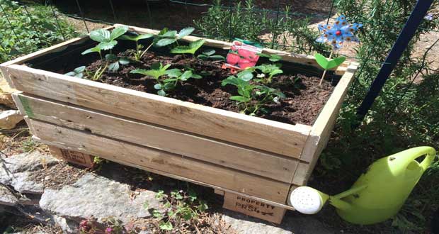 Diy déco faire une jardinière en palette bois