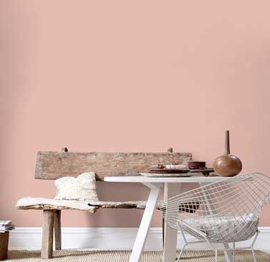 Couleur Peinture Style Scandinave