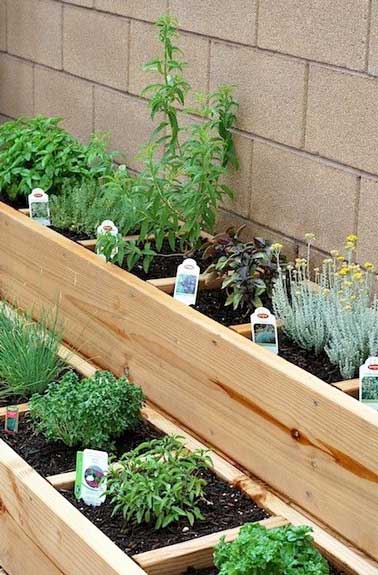 Coin plantation d’herbes aromatiques séparé du reste du jardin potager avec des jardinières en bois. Cales en interstices refermées par une planche en bois forment les compartiments réguliers.