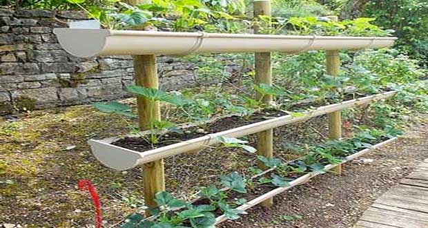 Faire un potager en carré de jardin ou suspendu avec 3 fois rien Balcon DIY idées