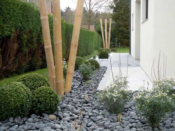 Belle allée de jardin zen faite avec un parterre de galets gris rythmé par des boules de buis des touffes de plantes vivaces et du bambou. 