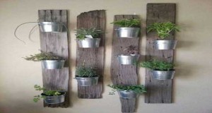 Le mur végétal  prend ses quartiers déco en intérieur et extérieur. Mur avec des plantes suspendues en vertical sur des volets, des palettes bois ou fil métallique pour créer un mur végétal personnalisé et original