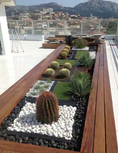 Un parterre de plantes exotiques est planté dans une grande jardinière en bois exotique. Ces plantations résistantes supportent bien l'exposition plein soleil de ce toit terrasse