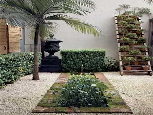 Patio de plantes vertes et palmiers créent ce jardin zen. Les plantes vertes posées sur un échelle en bois contre le mur et la statue ornementale font toute l’originalité de ce jardin.