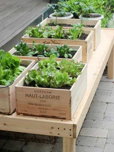 Des caisses à vin transformées en jardinière pour cultiver salades et herbes aromatiques dans le jardin. Ce jardin potager se place sur un châssis bois bien exposé sur la terrasse.