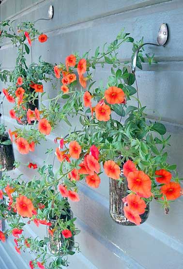 Des pots en verres sont suspendus avec du fil de fer contre des cuillères patères pour former un mur végétal arty. Les plantes colorées contrastent sur le mur métallisé
