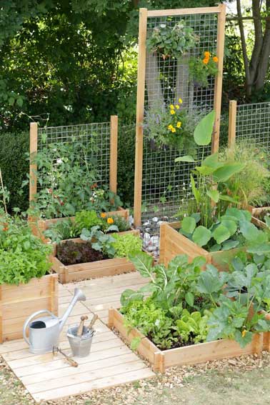  Des traverses bois pour structurer un jardin potager. Posées façon caillebotis elles délimitent son espace et assemblées en carrées elles composent plusieurs zones de plantations.