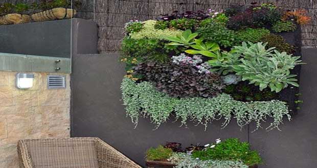 La succulente est une plante grasse tendance que l’on voit partout en ce moment. On apprécie les succulentes en déco extérieure en mur végétal ou plantées en terrarium à l’intérieur de la maison pour leur résistance et leur variété de couleurs