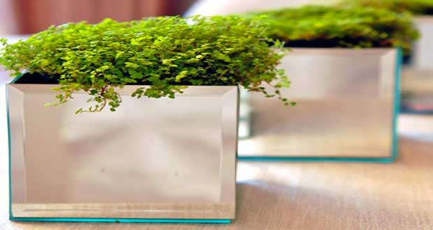 Déco Cool vous a trouvé un DIY déco de cache-pot à faire avec des miroirs aussi original que peu coûteux et facile à faire avec des carrés de miroirs et de la colle rapide.