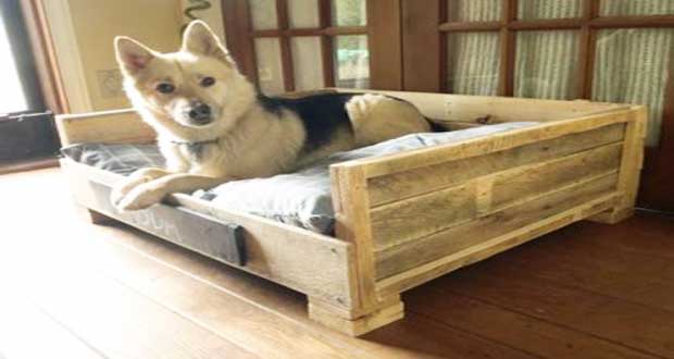 Lits pour chien en palette bois à réaliser soi même Idées Terrasse Banquette