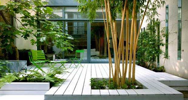 Un jardin zen séduit par sa déco reposante. Pour faire l’aménagement d’un jardin japonais une variété d’arbres, plantes et fleurs sont préconisés. bambou, érable, plantes couvrantes, découvrez les végétaux à planter dans un jardin zen