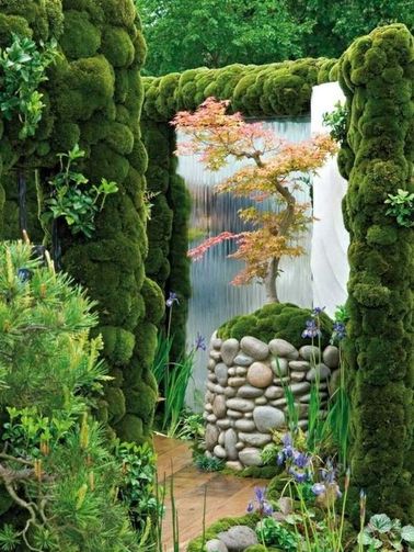 Le jardin zen s’agrémente d’un magnifique érable du Japon Pas de jardin zen sans érable du Japon, arbre mythique du soleil levant aux feuilles si délicates ! Le contempler nous invite immédiatement au calme et à la méditation.