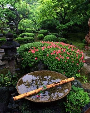 Un jardin zen ponctué d’arbustes en fleur d’azalée On adore les jardins japonais en fleurs au printemps : azalées, cerisiers, rhododendrons nous enchantent par leurs accents roses, rouges et fuchsias.