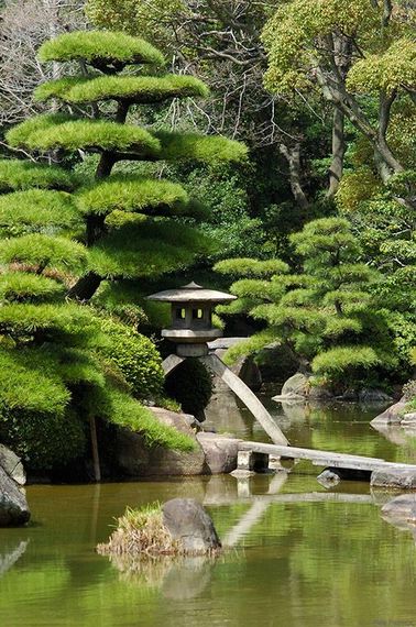 Jardin japonais Quelles plantes et arbres  pour un jardin 