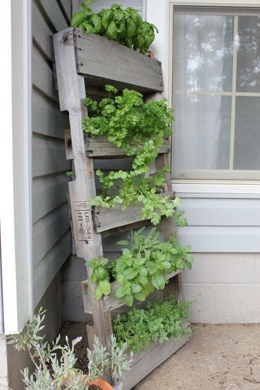 Un mur végétal en jardinières à étages Les palettes sont votre atout pour aménager un mur végétal sur un petit balcon. Plantez vos herbes aromatiques pour les salade de l’été prochain dans ces mini jardinières.
