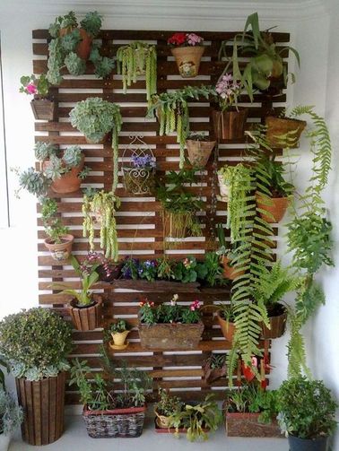 Aménager un mur végétal est une super idée pour donner une seconde vie à des plantes pour suspensions. Celui-ci dégage la vue et donne une impression d’opulence très séduisante.