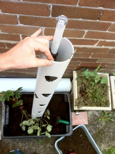 Enfin, pour la dernière étape de ce DIY, emboitez le petit tuyau dans le tube PVC et plantez-les dans la terre. Remplissez les trous avec les pieds de fraisiers et comblez avec du terreau. Le tour est joué !