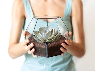 La succulente a le vent en poupe cette saison tendance La succulente est une plante pleine de ressources grâce à sa capacité à conserver l’eau pendant des mois. Elle survit ainsi à des conditions météo peu favorables… et aux mauvais jardiniers !