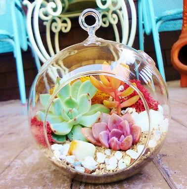 Des succulentes dans un terrarium coloré pour la déco maison La succulente s’adapte bien dans de petites compositions telles que ce terrarium qui demande peu d’entretien et un arrosage uniquement pendant la saison chaude.