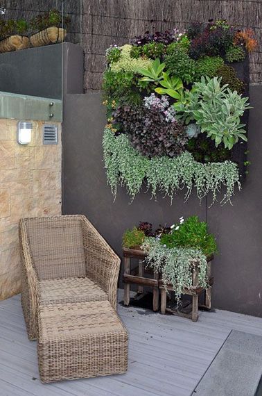 Les succulentes s’invitent dans un jardin vertical pour la déco terrasse La succulente accepte très bien une disposition qui change : en mur végétal ou en jardin vertical. La technique de plantation est un peu différente, mais facile à mettre en œuvre pour un résultat original.
