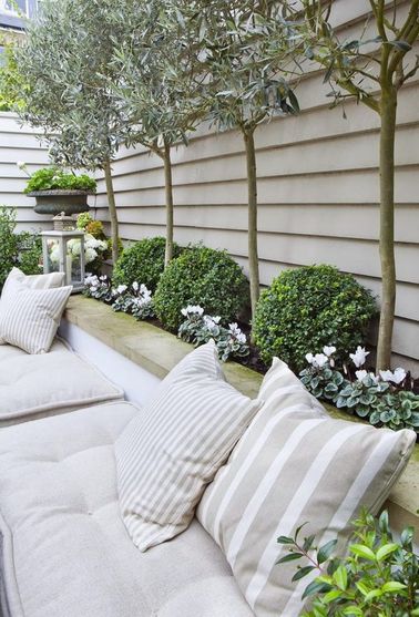 Une terrasse italienne avec une haie d’oliviers et de buis