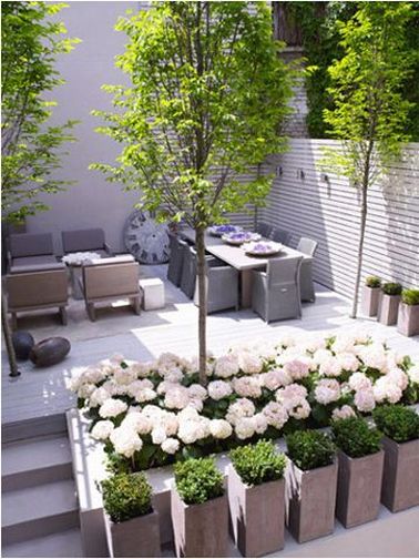 Une terrasse pleine de plantes et de fleurs dans des bacs