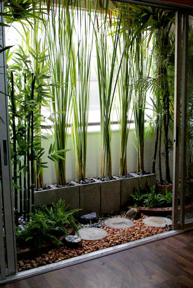 Des bambous pour se prot ger du vis vis sur le balcon Des bambous pour se prot ger du vis vis sur le balcon