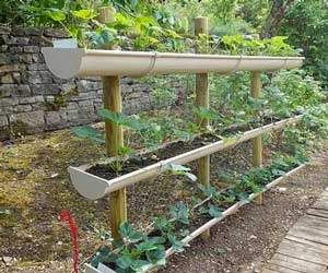 astuces pour faire un potager