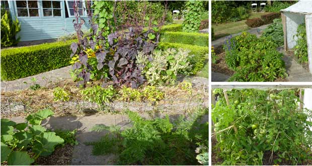 Une clôture colorée délimite l'espace du jardin potager Potager clôture désign