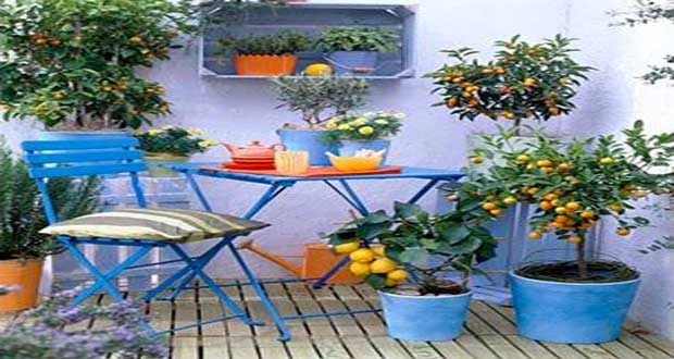 Pour les beaux jours, la couleur s'invite dans la déco du balcon pour notre plus grand bonheur ! Une déco fraiche et estivale sur le balcon pour une ambiance qui a du style