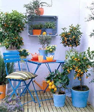 Le bleu est une couleur fraiche pour aménager et décorer son balcon ! Petite table, chaises et cache-pot de couleur bleu s'associent au mur bleuté pour une rendu déco 