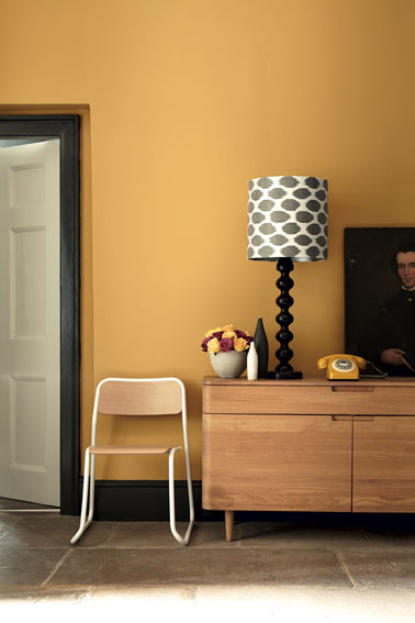 Une déco salon pleine de vitalité grâce à une peinture jaune moutarde ! Un salon qui ne manque pas d'originalité avec cette couleur vive très tendance et actuelle