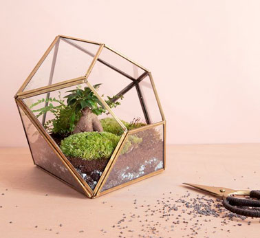 Un terrarium déco sous forme géométrique originale Un terrarium géométrique en forme de diamant, avec des bords dorés, un joli récipient de déco pour créer son paysage de jardin avec de la mousse, du gravier, des plantes.