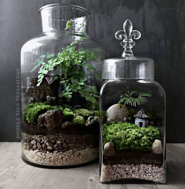 Plus qu'un mini jardin d'intérieur, le terrarium est un écosystème miniature dans un bocal en verre où on retrouve des plantes , des cailloux, de la terre pour un élément déco original.