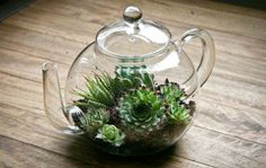 Un terrarium réalisé dans une théière en verre, avec un jardin composé de plusieurs plantes, de gravier, de terre, plutôt original et sympa, comme touche nature de déco intérieure.