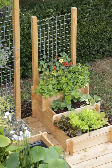 Obtenez l'aide de professionnels via une application pour faire un potager dans le jardin ! Des idées recettes et des services ingénieux pour vous faciliter la vie 