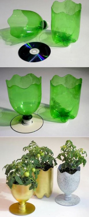 Des bouteilles plastique customisés en verre, peint en peinture or et argent doré pour apporter une touche chique et élégante à la déco des pots de fleurs intérieurs.