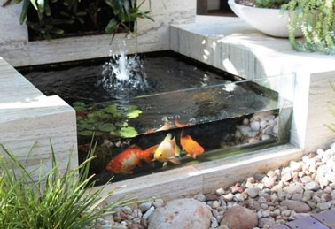 bassin de jardin vitre