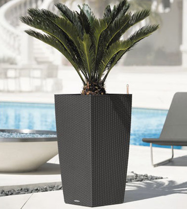 Fonctionnel et design, ce pot en résine de couleur naturelle saura faire votre bonheur et embellir votre déco que ce soit sur la terrasse ou dans le jardin !