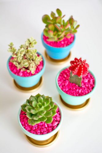 Mini cactus artificiels avec granules roses, dans un salon par exemple