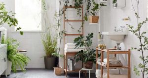 Apportez de la gaieté dans votre salle de bain avec de magnifiques plantes vertes.