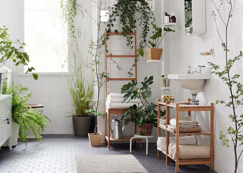 Apportez de la gaieté dans votre salle de bain avec de magnifiques plantes vertes.